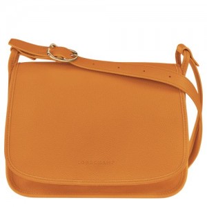 Longchamp Le Foulonne Crossbody bag L Saffron | CXS-947132