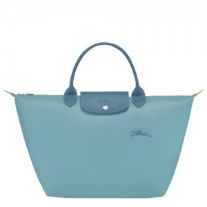 Longchamp Le Pliage Green Top handle bag M Thunderstorm | HYJ-905412