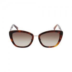 Longchamp Sunglasses Havana | QCS-391658