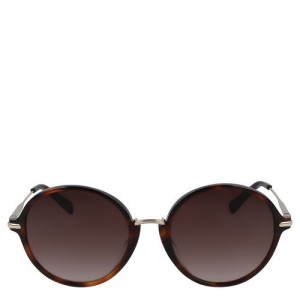 Longchamp Sunglasses Havana | YAH-473208